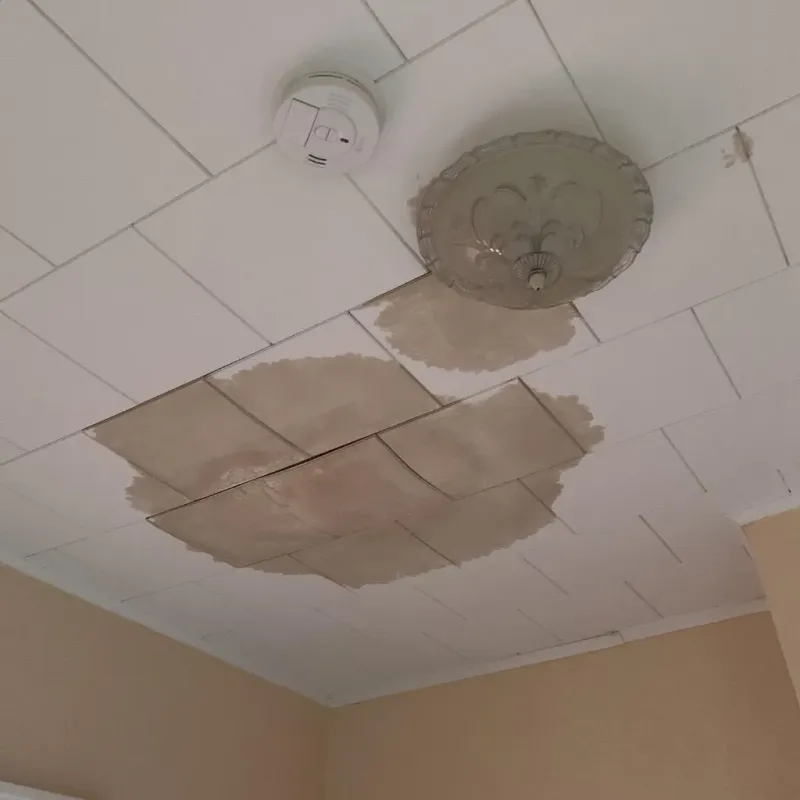 Ceiling Water Damage Repair in Mount Laurel, NJ